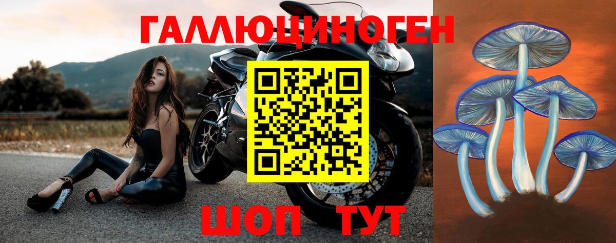 Псилоцибиновые грибы мухоморы Тулун