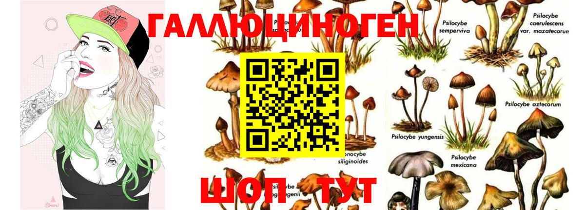 Галлюциногенные грибы Psilocybe  наркошоп  Тулун  Вход с VPN  Галлюциногенные грибы мухоморы 